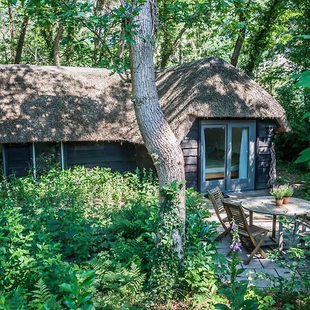Aa Casia Vakantiehuis Zeegse Exteriér fotografie