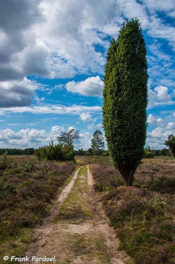 Aa Casia Vakantiehuis Zeegse Exteriér fotografie